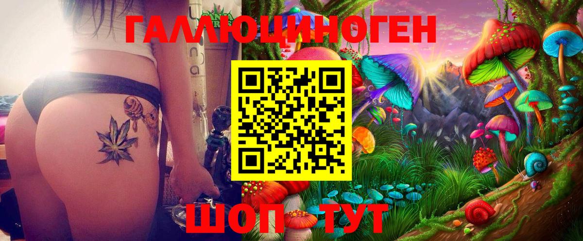 Псилоцибиновые грибы Psilocybe  Вход с VPN  Лениногорск 